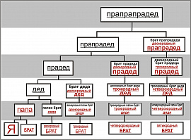 Двоюродный брат сестра - фото №4