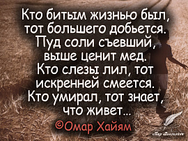 Битым быть - фото №12