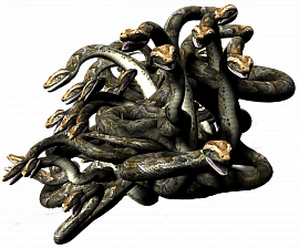 Клубок змей (змея) - фото №6